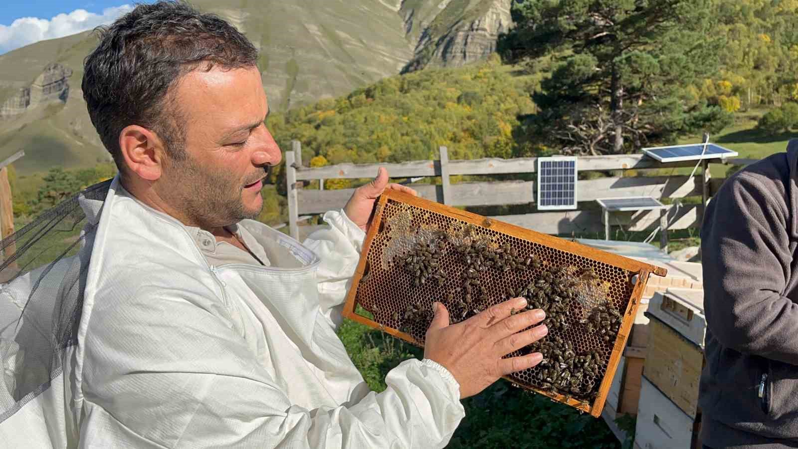 Artvin’de keşfedilen bal, köylünün yeni gelir kapısı oldu